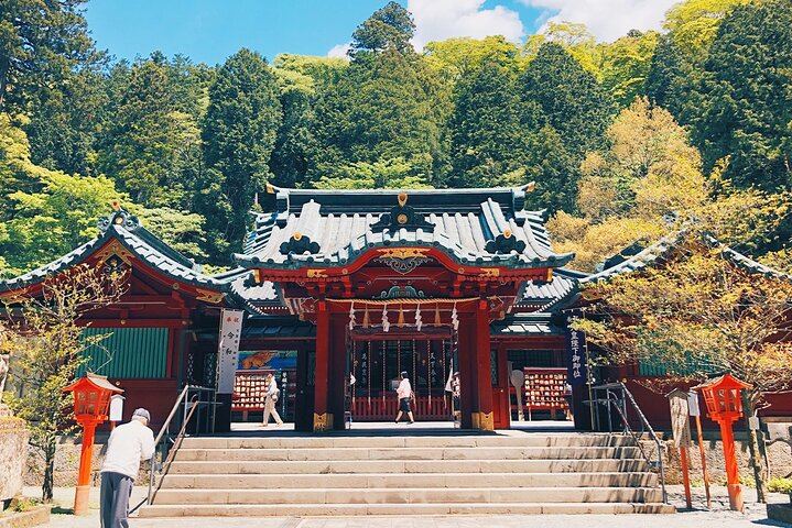 Tokyo: Mt. Fuji Hakone tour, Cable car&Optional Lake Ashi Cruise