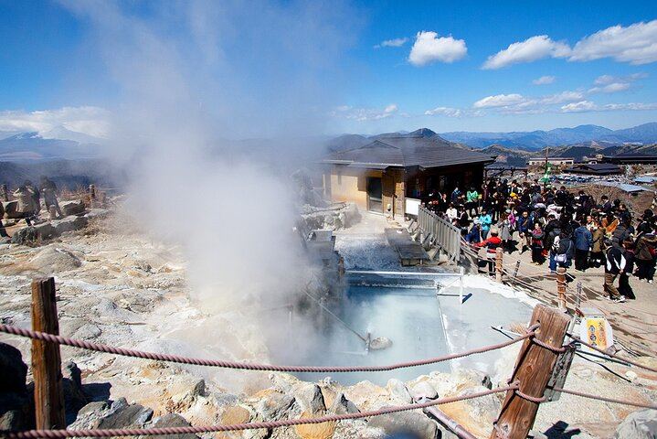 Tokyo: Mt. Fuji Hakone tour, Cable car&Optional Lake Ashi Cruise