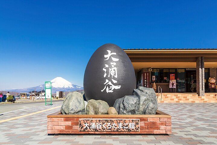 Tokyo: Mt. Fuji Hakone tour, Cable car&Optional Lake Ashi Cruise
