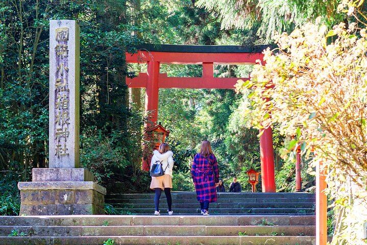 Tokyo: Mt. Fuji Hakone tour, Cable car&Optional Lake Ashi Cruise