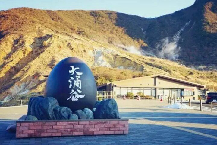 Tokyo: Mt. Fuji Hakone tour, Cable car&Optional Lake Ashi Cruise