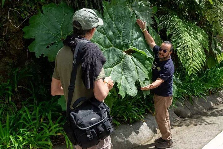 Tour Guide Olman Arce Mejía
