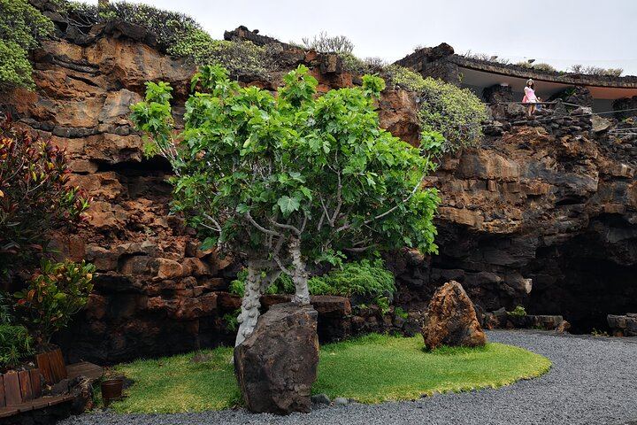 Tour of Jameos del Agua, Cueva de los Verdes and Viewpoint from the cliffs
