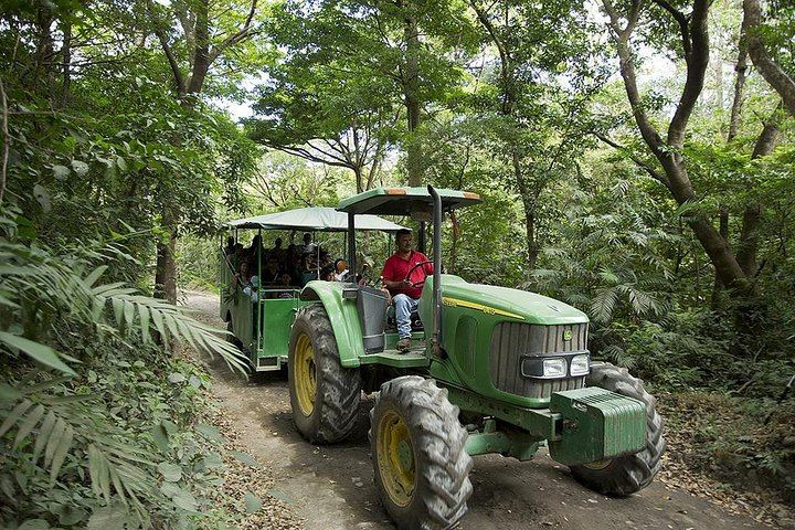 Tractor