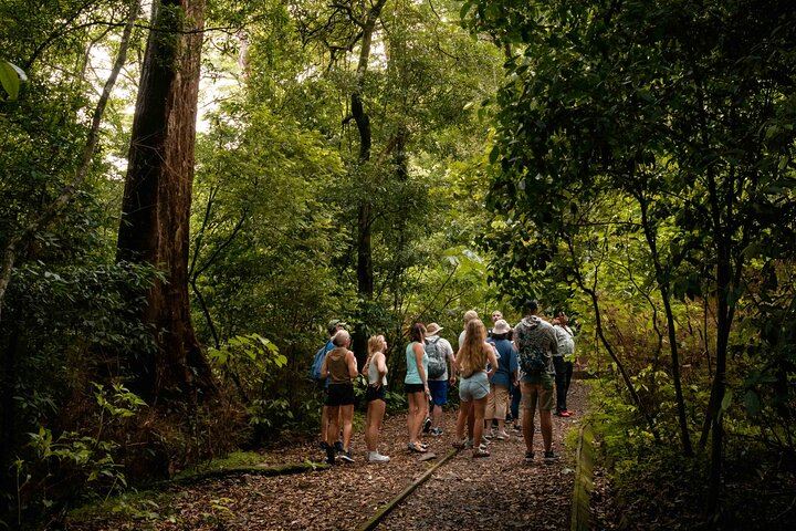 Trail - Rincon de la Vieja National Park - Native's Way Costa Rica Tours & Packages