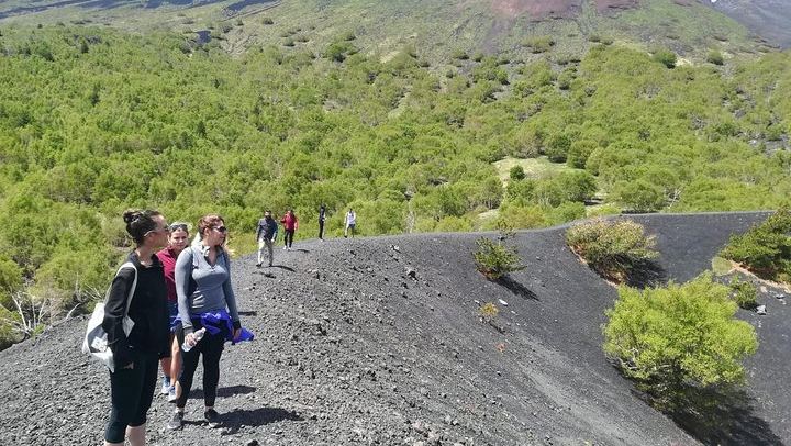 Trekking