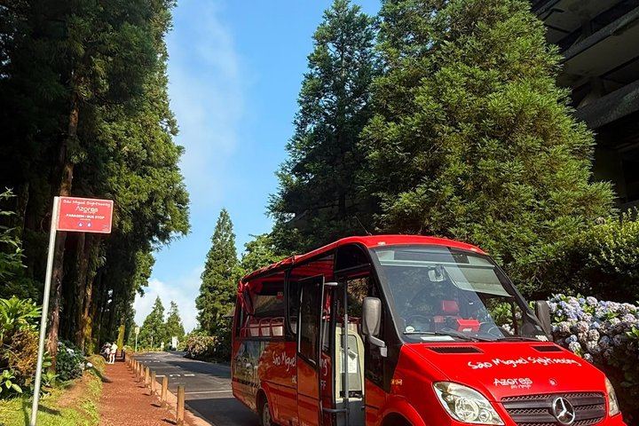 Two Lines Round São Miguel, 9 to 7, Hop On and Off