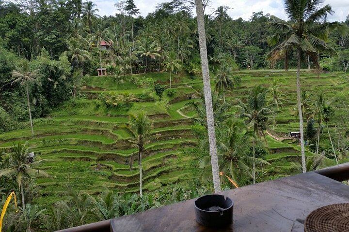 Ubud Kintamani Tour