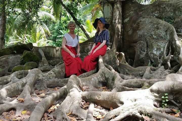 Ubud Kintamani Tour