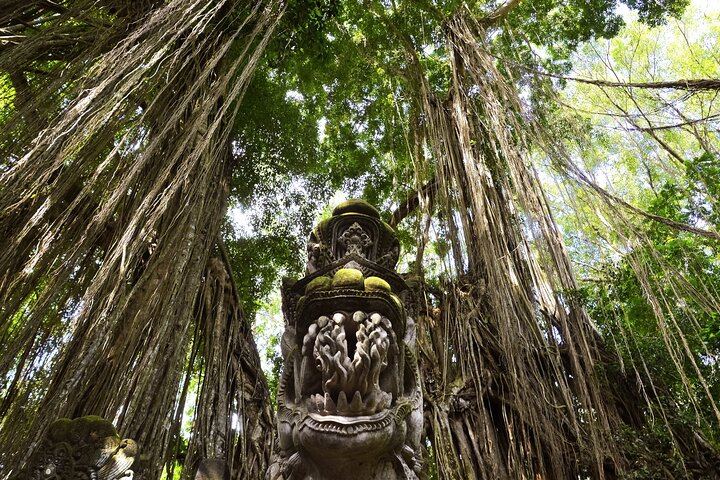 Ubud Monkey Forest