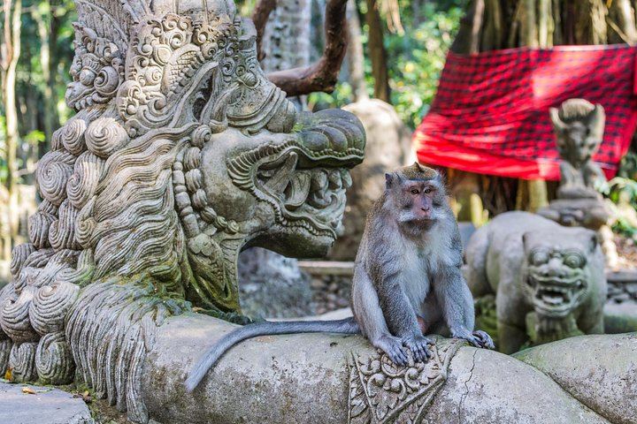 Ubud Sacred Monkey Forest