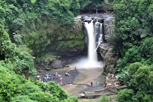 Ubud in a Day: Tirta Empul from 960 AD, Tegalalang's Eighth-Century Terraces