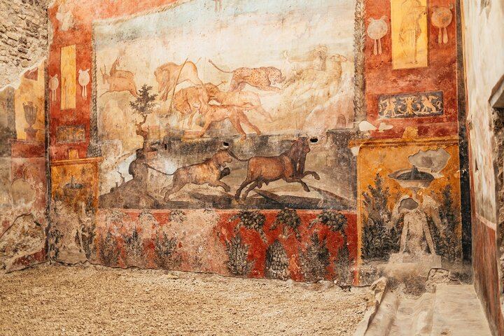 Vesuvius & Pompeii Signature Tour: Wine & Lunch from Naples