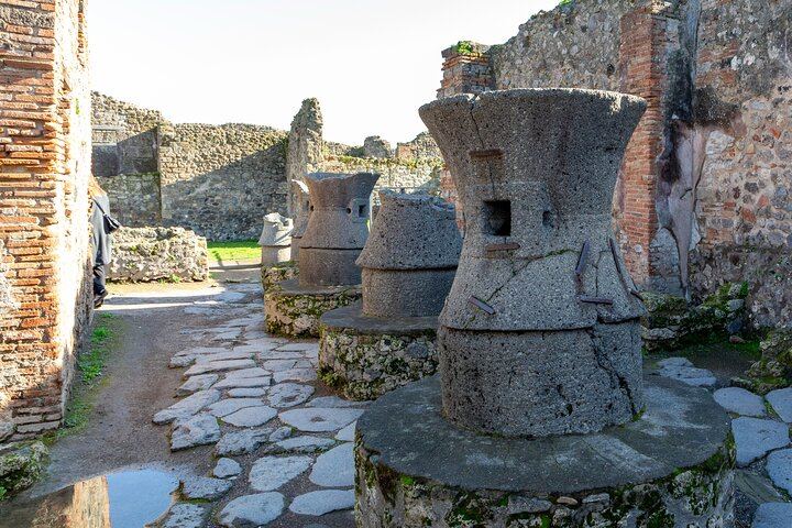 Vesuvius & Pompeii Signature Tour: Wine & Lunch from Naples