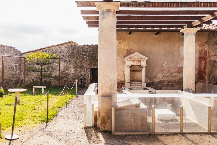 Vesuvius & Pompeii Signature Tour: Wine & Lunch from Naples