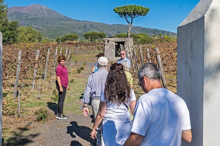 Vesuvius & Pompeii Signature Tour: Wine & Lunch from Naples