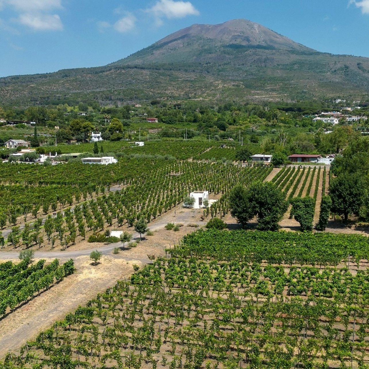 Vino, Cucina e Territorio: Lacryma Christi Under Vesuvius