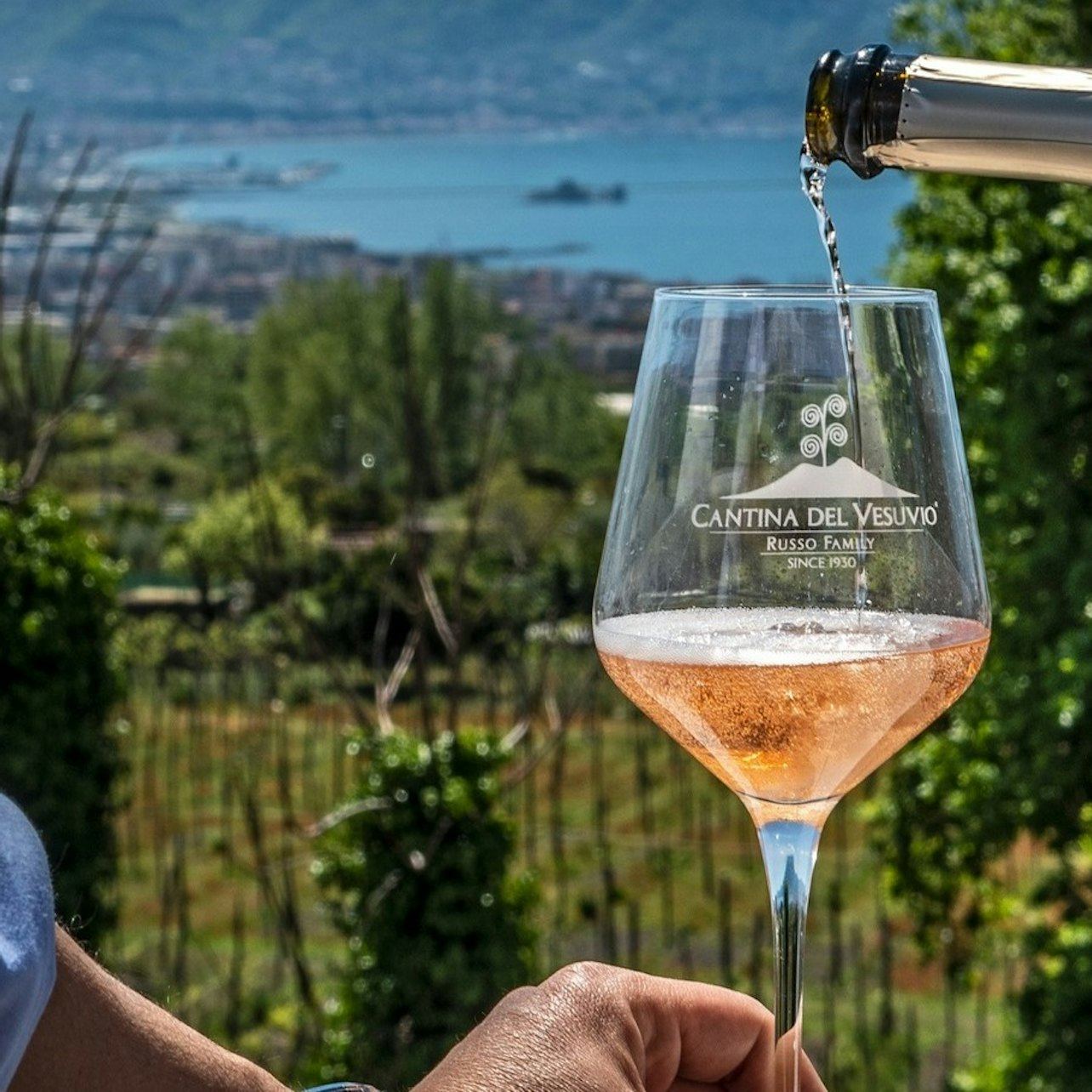 Vino, Cucina e Territorio: Lacryma Christi Under Vesuvius