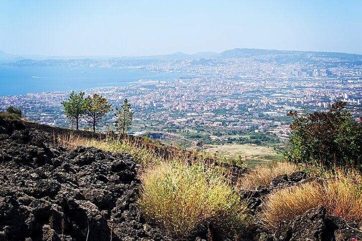 Vesuvius, V.I.P. the only Tour with Volcanological Guide