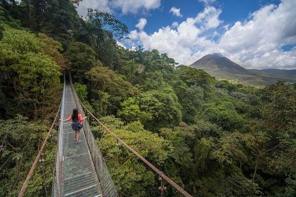Arenal Hanging Bridges: 15 Bridges on a 3.1 km Circuit through 243 Hectares