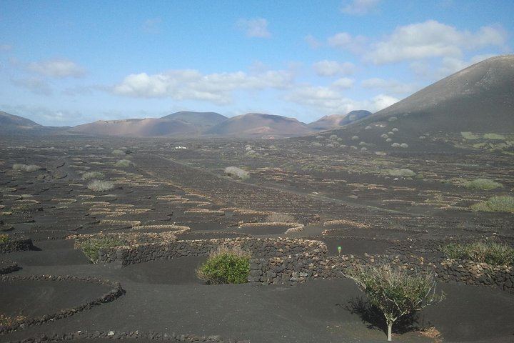 Vineyards of La Geria hiking tour