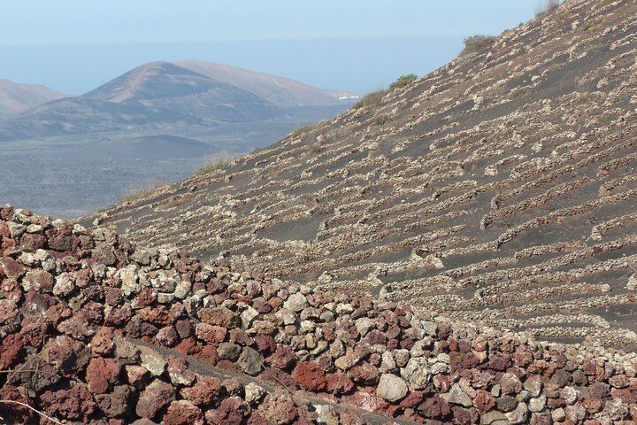 Vineyards of La Geria hiking tour