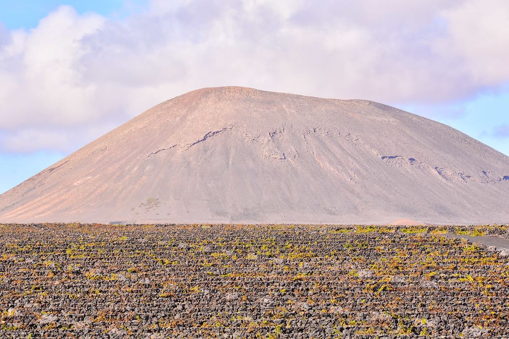 Vines growing in volcanic ash pits protected by stone walls in the La Geria wine region of Lanzarote, Canary Islands