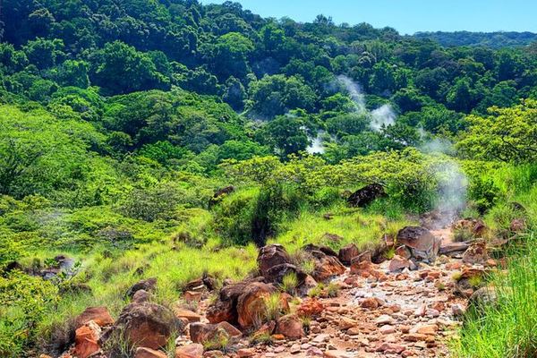 Rincón de la Vieja: Las Pailas, Oropéndola and Ten Hot Pools