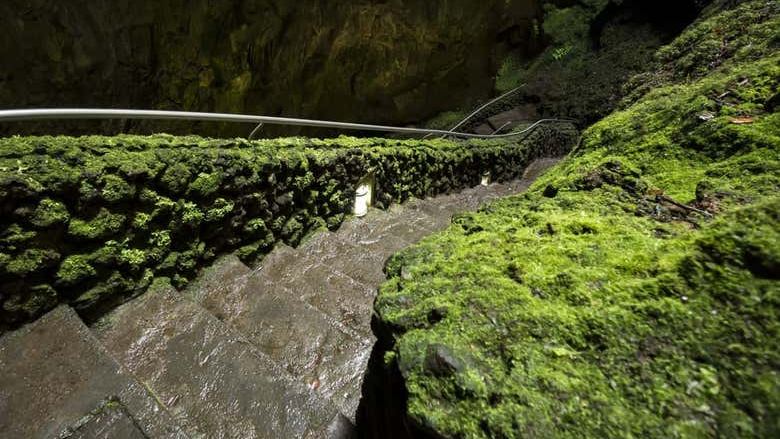Volcanic Caves Day Trip