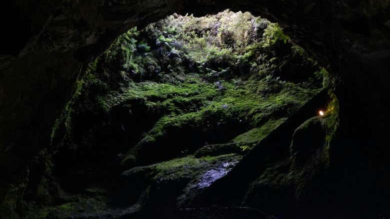 Volcanic Caves Day Trip