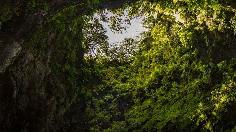 Volcanic Caves Day Trip