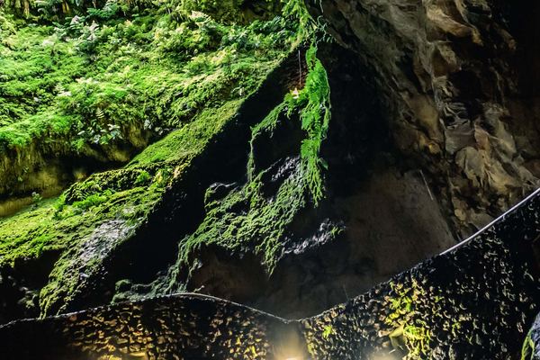 The Volcanic Caves of Terceira and the Furnas do Enxofre