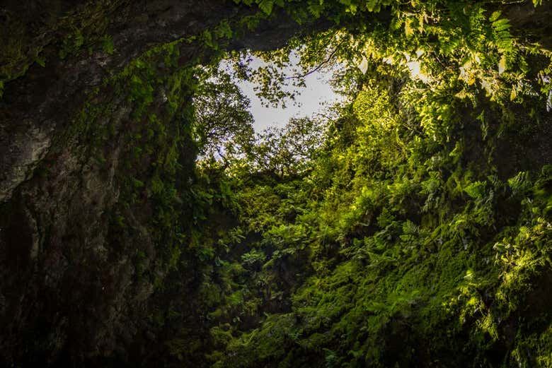 Volcanic Caves Day Trip
