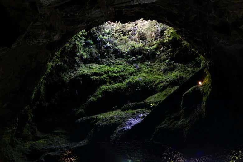 Volcanic Caves Day Trip