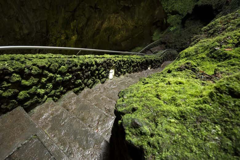 Volcanic Caves Day Trip