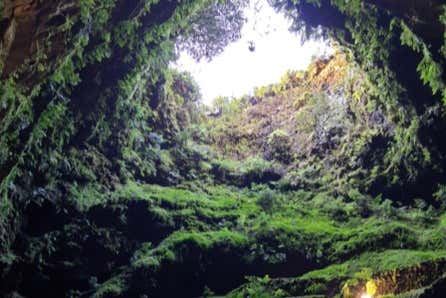 Volcanic Caves Day Trip