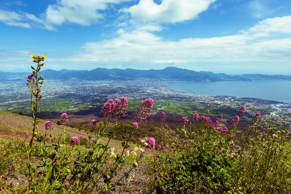 Vesuvius & Pompeii