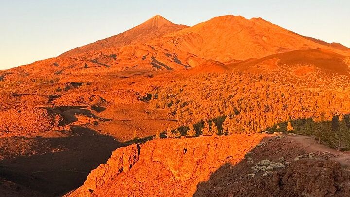 Volcanic Hike and Lava Cave in Teide National Park. Free Pickup.