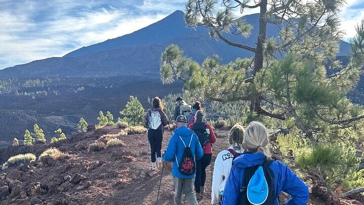 Volcanic Hike and Lava Cave in Teide National Park. Free Pickup.