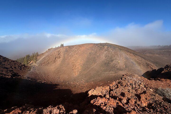 Volcanic Hike and Lava Cave in Teide National Park. Free Pickup.