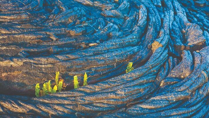 Volcano Adventure: Hilo Sightseeing w/ Optional Helicopter Tour