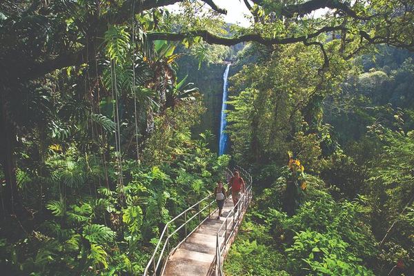 Volcano Adventure from Hilo: 19 Miles of Chain of Craters, Helicopter Optional