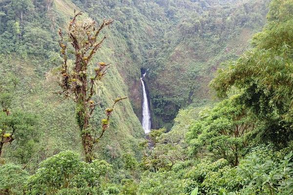 Two Waterfalls, Two Wildlife Stops and a 50-Metre Rappel: Arenal from San Jose