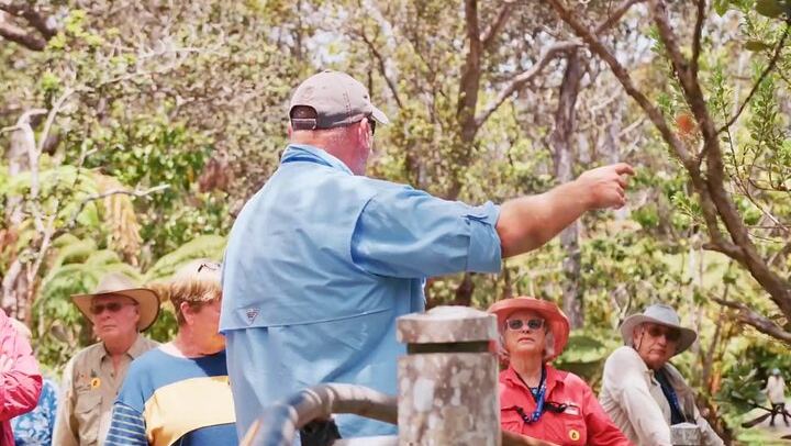 Volcanoes, Beaches and Waterfall Highlights Private Guided Tour