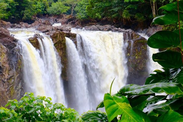 Volcanoes and Hilo Small Group: Waianuenue Falls and Big Island Candies
