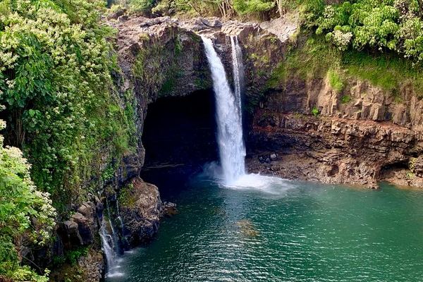 Hilo Shore Excursion: Kilauea's Caldera, a Lava Tube and the Gardens