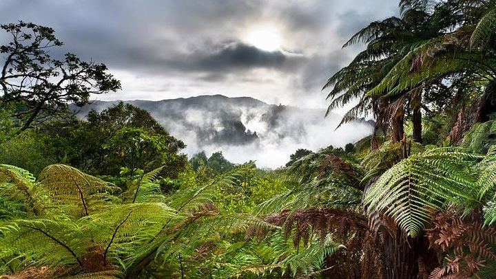 Waimangu Valley