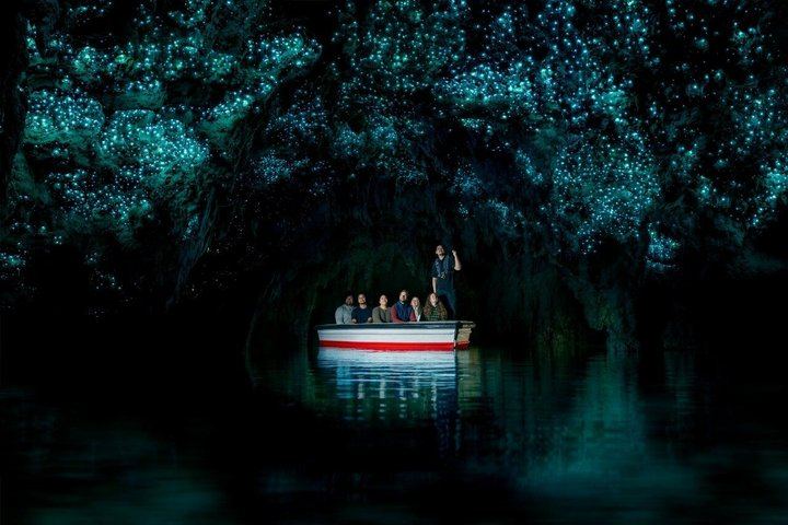 Waitomo Caves & Rotorua + Te Puia Small-Group Tour from Auckland