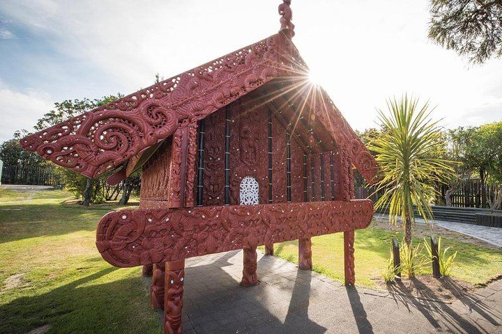Waitomo Caves & Rotorua + Te Puia Small-Group Tour from Auckland
