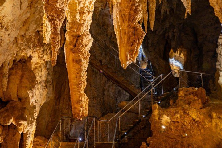 Waitomo Caves & Rotorua + Te Puia Small-Group Tour from Auckland
